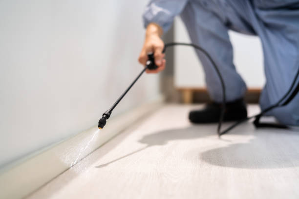 Professional exterminator conducting IPM assessment in Knightstown