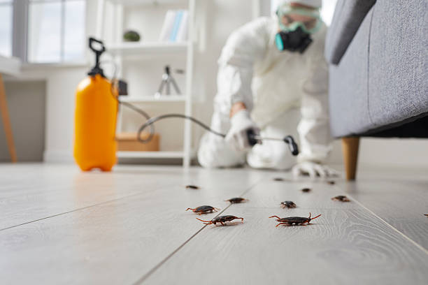 Post-Treatment Bed Bug Interceptor Monitoring in Knightstown