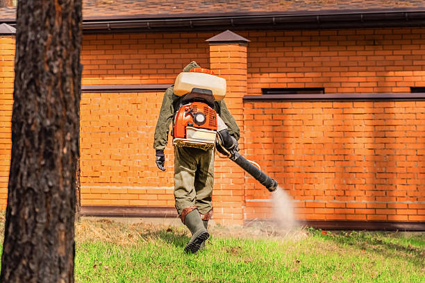 Bed Bug Clearance Verification and Documentation in Knightstown